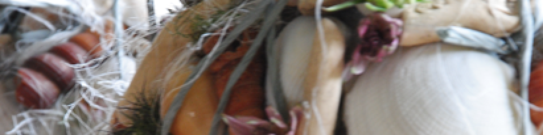 bloemenschelpen-05012024165031.png