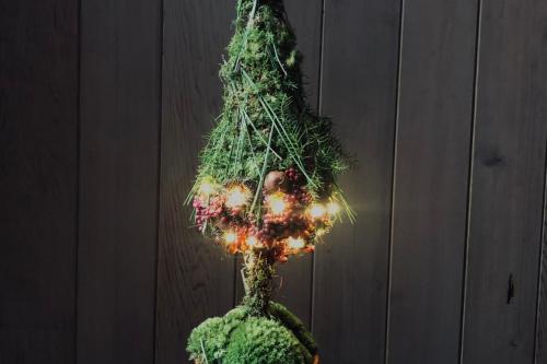 2mini-kerstboompje-met-lichtjes-15072026104816.jpg