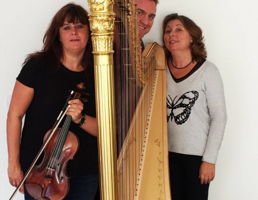 Trio Phalaena