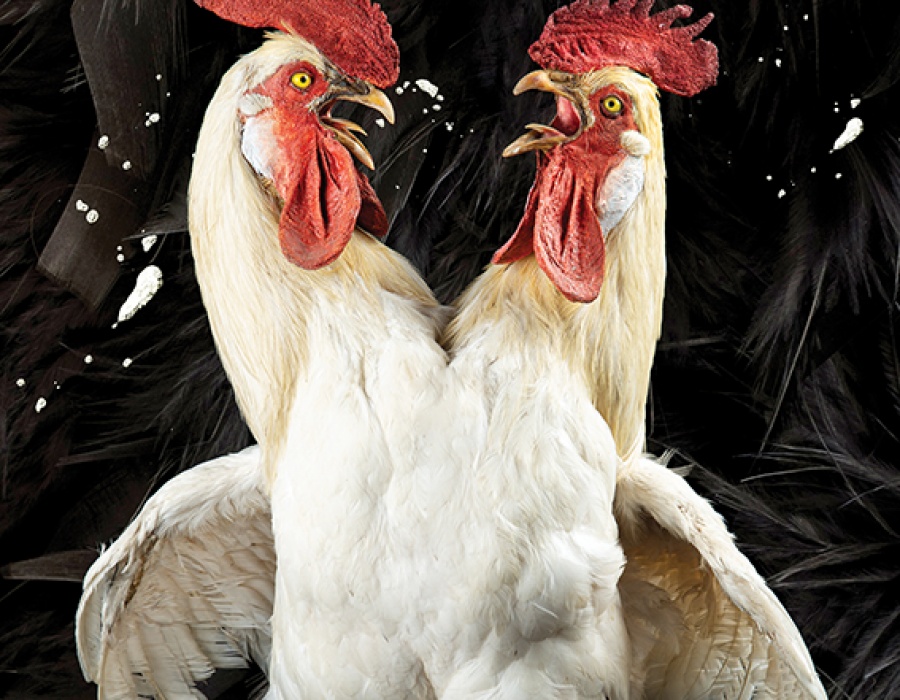 Vanden Broecke & Van Dyck: Zwijg!
